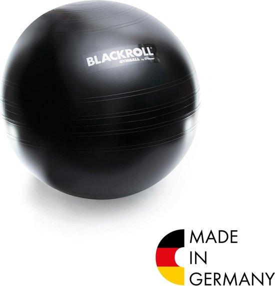 Blackroll Gymball 65 cm Fitness ball et ballon de stabilité - Système  anti-éclatement | bol.com