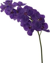 Viv! Home Luxuries Orchidee Vanda - zijden bloem - paars - 70cm - topkwaliteit