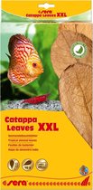 Sera catappa leaves bladeren XXL 32cm Tropische katappenboom bladeren voor natuurlijke waterbehandeling