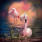 diamond painting 40x50 cm flamingo
