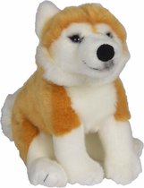 Nicotoy - 26cm floppy shiba dog w/beans