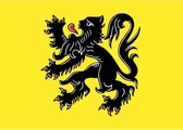 20x Binnen en buiten stickers Vlaanderen 10 cm - Vlaamse vlag stickers - Supporter feestartikelen - Landen decoratie en versieringen