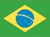 10x Binnen en buiten stickers Brazilie 10 cm -  Braziliaanse stickers - Supporter feestartikelen - Landen decoratie en versieringen