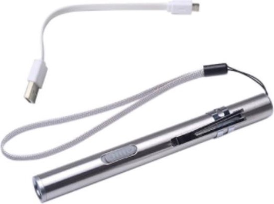 Vechter tuberculose vertrekken Zaklamp USB Oplaadbaar - Zaklamp Sleutelhanger - Metalen Kleine Zaklamp -  LED Zaklamp... | bol.com