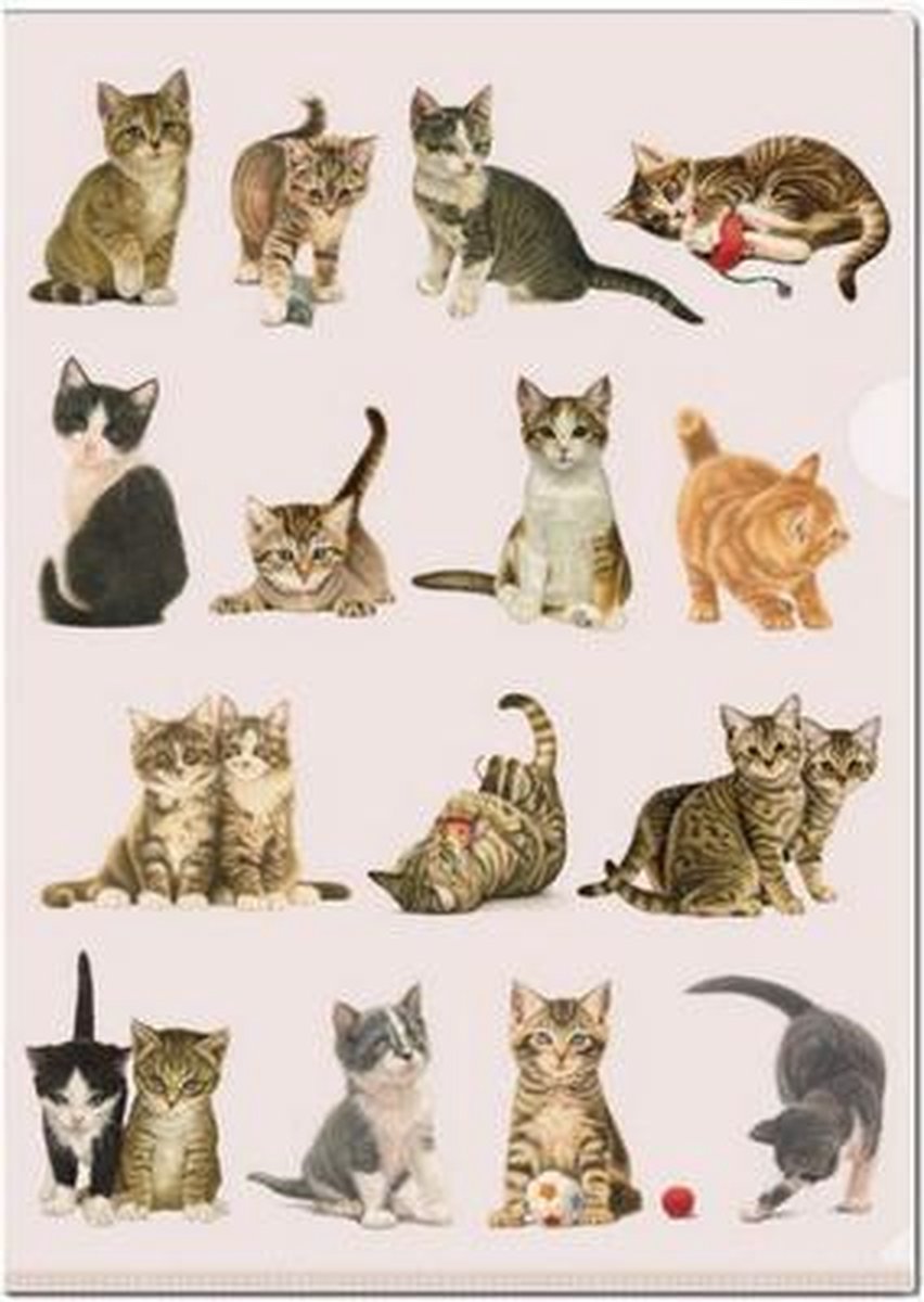 L-mapje A4 formaat: Franciens Katten, Francien van Westering