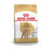 Royal Canin Poodle Adult - Nourriture pour chiens - 7,5 kg