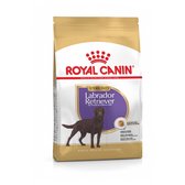 Royal Canin Labrador Retriever Sterilised Adult - 12 kg