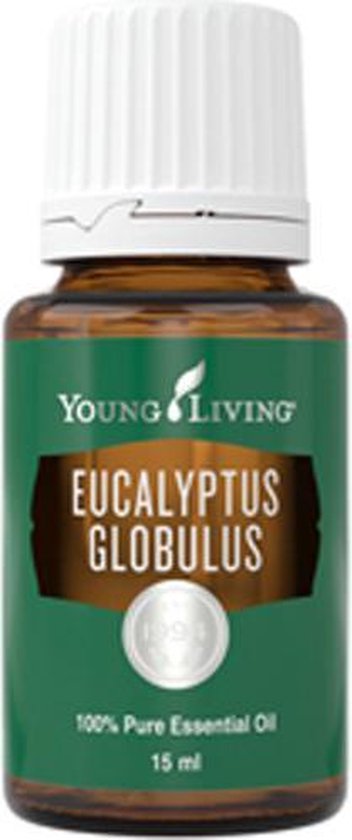 Eucalyptus globulus young living deals