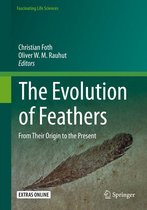 Fascinating Life Sciences - The Evolution of Feathers