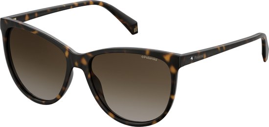 POLAROID Zonnebril (PLD4066/S) Bruin