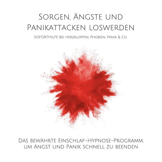 Sorgen, Ängste und Panikattacken loswerden: Soforthilfe bei ... - cover