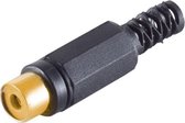 Tulp (v) audio/video connector - verguld - plastic / zwart