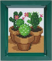 pixelhobby geschenkdoos cactus