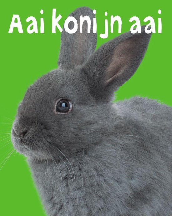 Cover van het boek 'Aai konijn aai' van Bette Westera