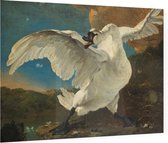 De bedreigde zwaan, Jan Asselijn - Foto op Plexiglas - 90 x 60 cm