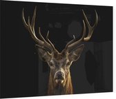 Edelhert op zwarte achtergrond - Foto op Plexiglas - 90 x 60 cm