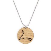 Ketting Sterrenbeeld - Vissen (Pisces)
