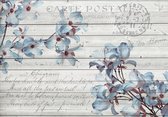 Papier peint photo Polaire | Bois, Fleurs | Bleu | 368x254cm (lxh)