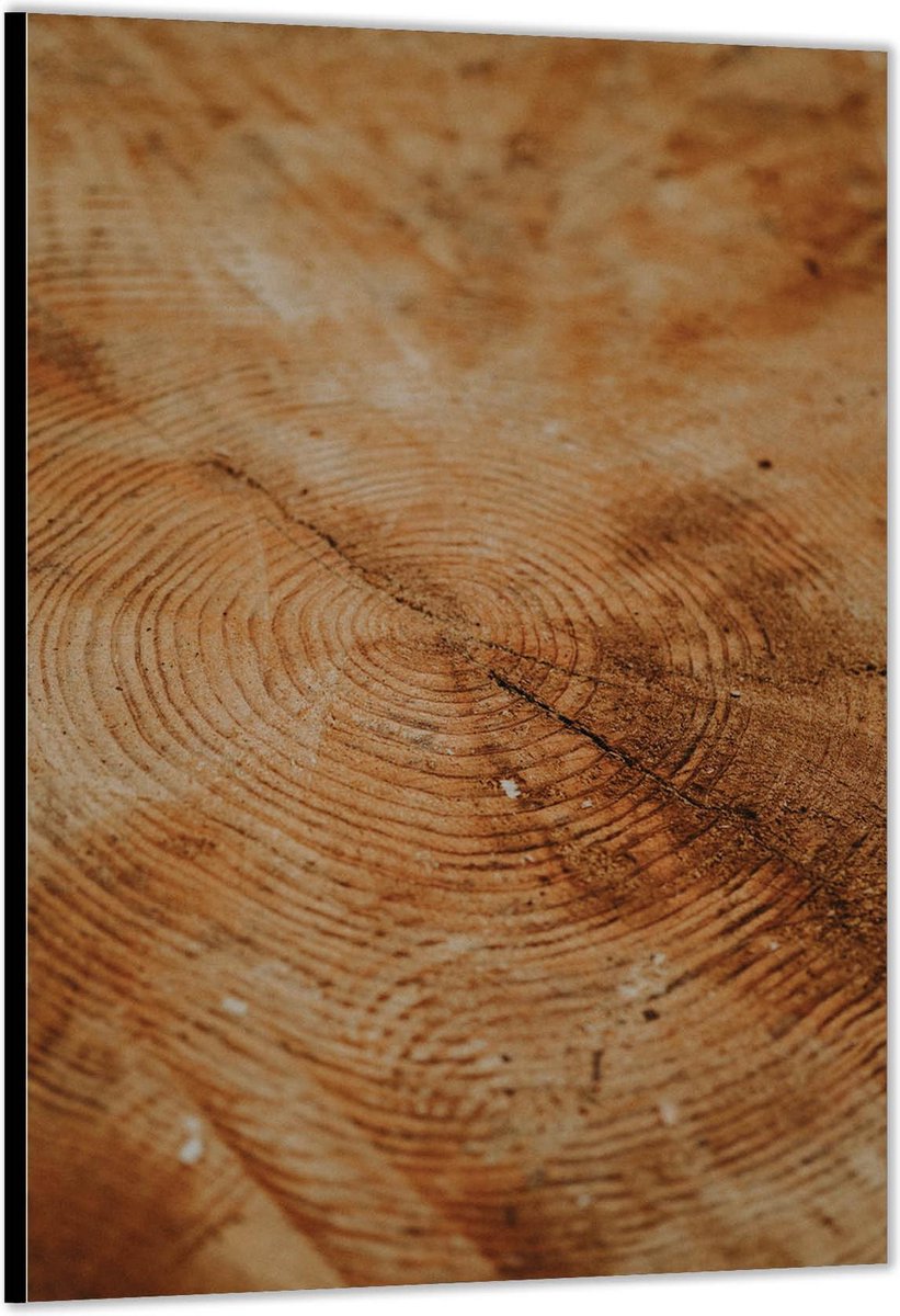 KuijsFotoprint - Schilderij - Doorgezaagde Boomstam - Bruin - 150 X 100 Cm