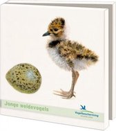 Bekking&Blitz (museum)kaartjes vierkant: Jonge Weidevogels van Elwin Kolk
