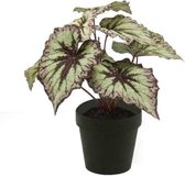 Emerald Kunstplant Begonia - H 25 cm