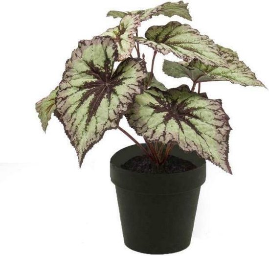 Emerald - Kunstplant in pot Begonia grijs/roze 25cm - Kunstplanten voor binnen