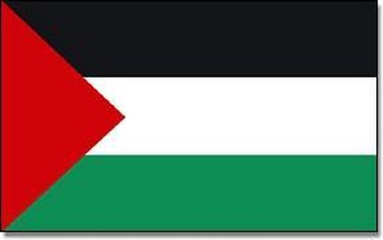 bol.com | Vlag Palestina 90 x 150 cm feestartikelen - Palestina landen  thema supporter/fan...