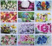 Verjaardag Wenskaarten - 12 Stuks - Bloemen - 12 x 17 cm - L-128