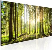 Schilderij - Daglicht, Bruin/Groen, 1luik , premium print op canvas