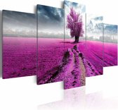 Schilderij - Paars Veld, 5luik ,  wanddecoratie , premium print op canvas