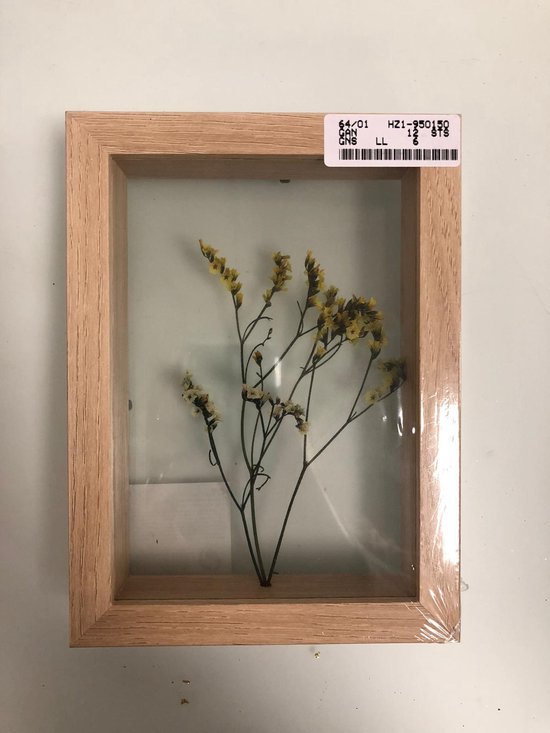 Fotolijst - gedroogde bloemen - 10x20cm | bol.com