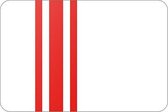 Vlag gemeente Oisterwijk - 70 x 100 cm - Polyester