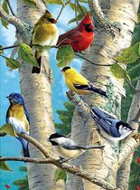 diamond painting 40x50 cm vogels in boom