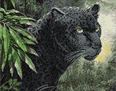 diamond painting 48x38 cm panther