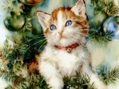 Diamond painting - Kat/poes - Kitten - 30x20cm