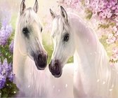 Peinture au diamant - Deux chevaux blancs - 40x30cm