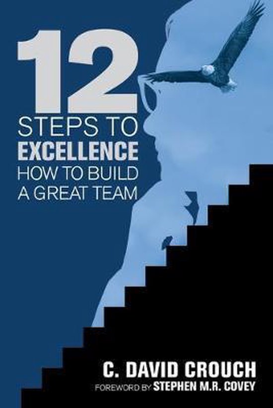 12 Steps to Excellence - cover
