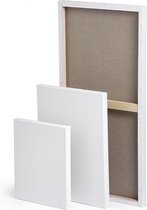 CX Professional Canvas 3D 20x30 Schildersdoek 3 stuks