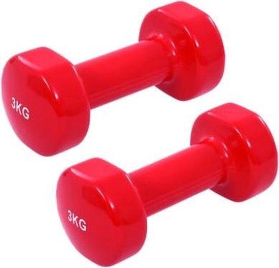 Dumbbells - halters - 2 x 3 kg - 6 kg - gietijzer - rood | bol.com