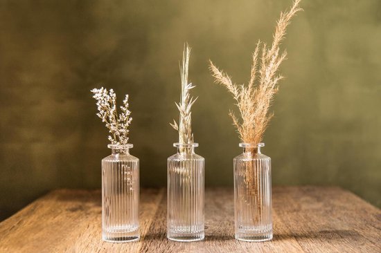 Olivas - Vase en verre - Set de 3 vases - Convient pour les fleurs séchées et les boutures