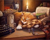 De Slapende Kat En Spelende Muizen | Do it Yourself Painting | Hobby Schilder Kit | Gemakkelijk Op Nummers