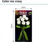 Petaloo color me crazy bouquets wild flowers x8