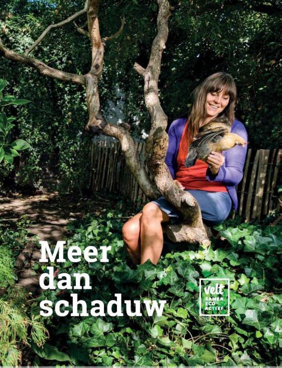 Meer dan schaduw - cover