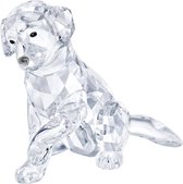 Swarovski Labrador Moeder 5399004