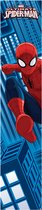 Spiderman - Poster XL / Behangbaan - Meerkleurig - 250x50 cm