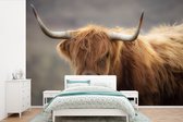 Behang - Fotobehang Schotse hooglander - Licht - Portret - Breedte 360 cm x hoogte 240 cm
