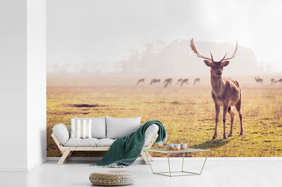 Papier peint - Papier peint Papier peint photo Cerf - Bois - Herbe - Largeur 420 cm x hauteur 280 cm