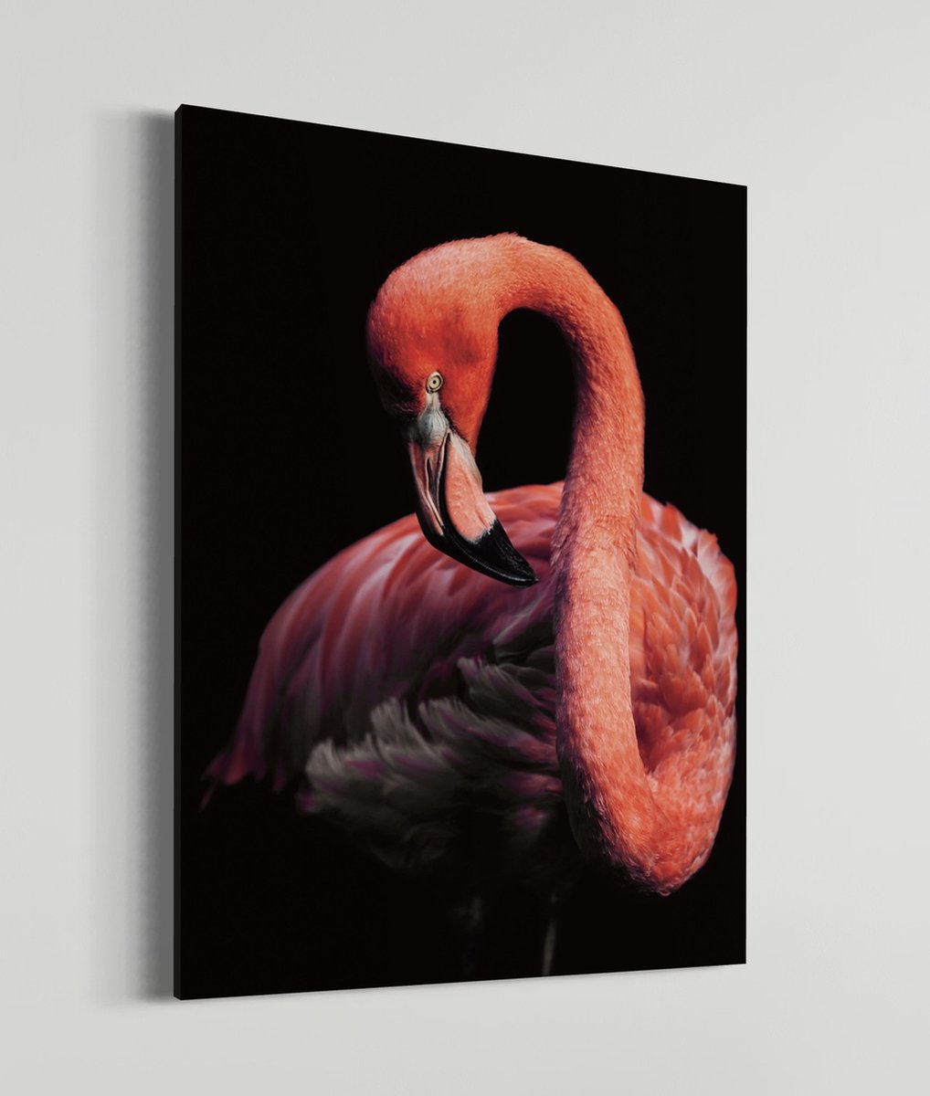 Flamingo | Schobbejak Animal Collection | Canvas | Wanddecoratie | Kunst | Schilderij | 100x150 CM