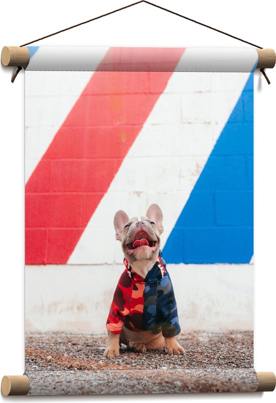 WallClassics - Textielposter - Blije Hond met Trui en Kleurrijke Achtergrond - 30x40 cm Foto op Textiel