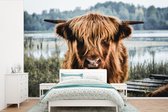 Behang - Fotobehang Koeien - Schotse hooglander - Bruin - Natuur - Breedte 390 cm x hoogte 260 cm